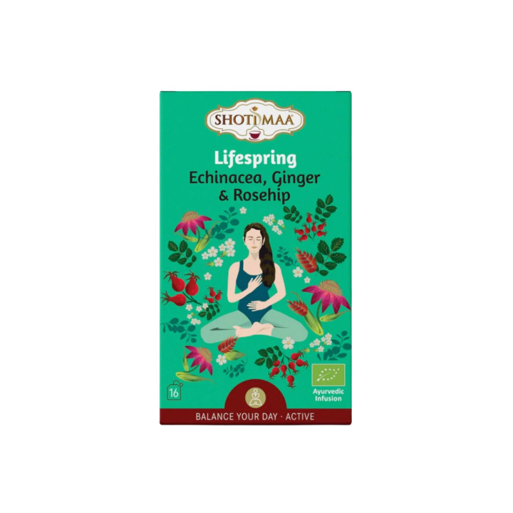 Echinacea, Ingefær & Hyben Urtete ØKO 16 x 2g i gruppen Råvarer & Drikke / Drikkevarer / Te hos Rawfoodshop Scandinavia AB (SKU-798)